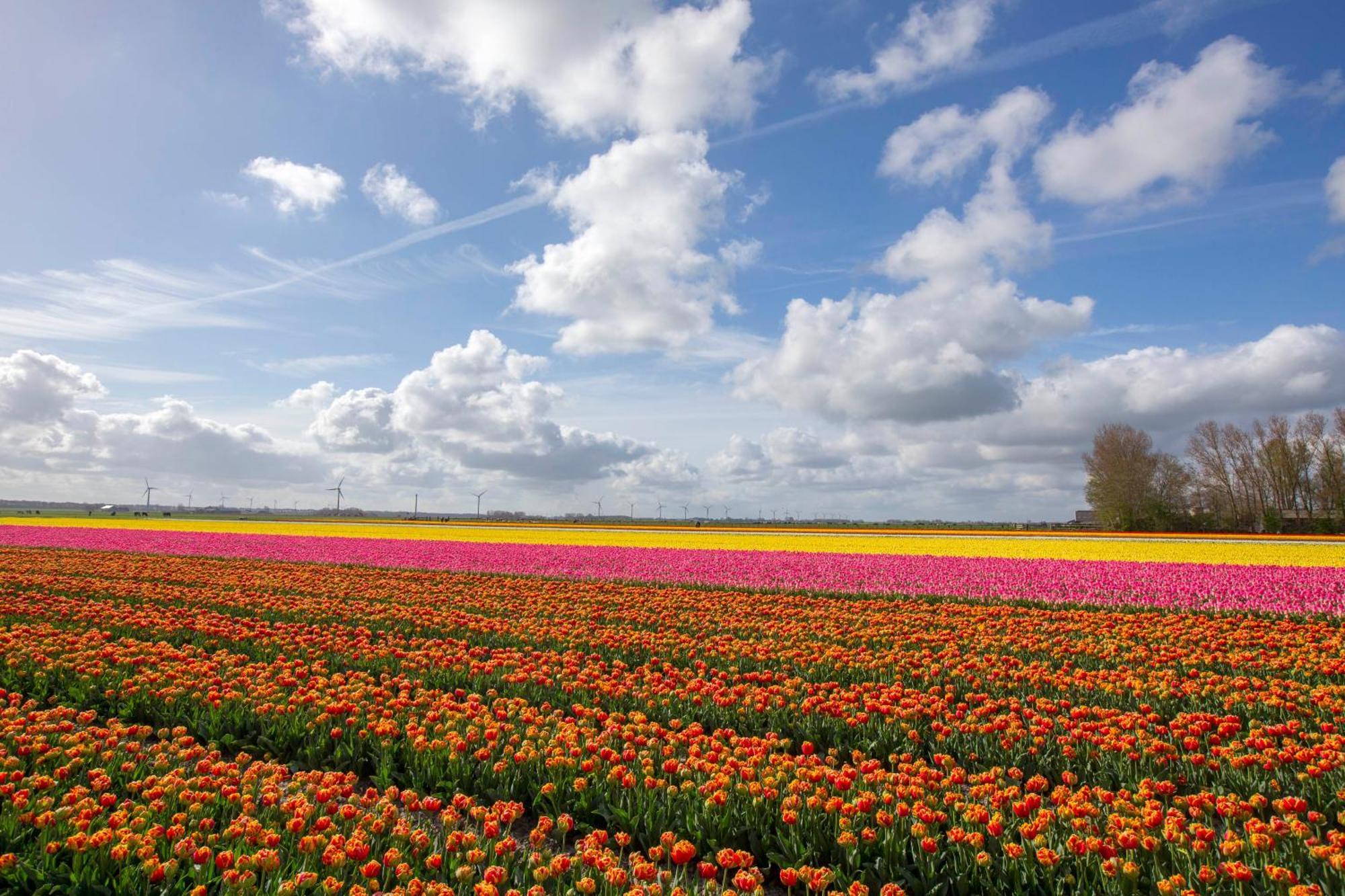 Sint Maartensvlotbrug Boerenslag 18 빌라 외부 사진
